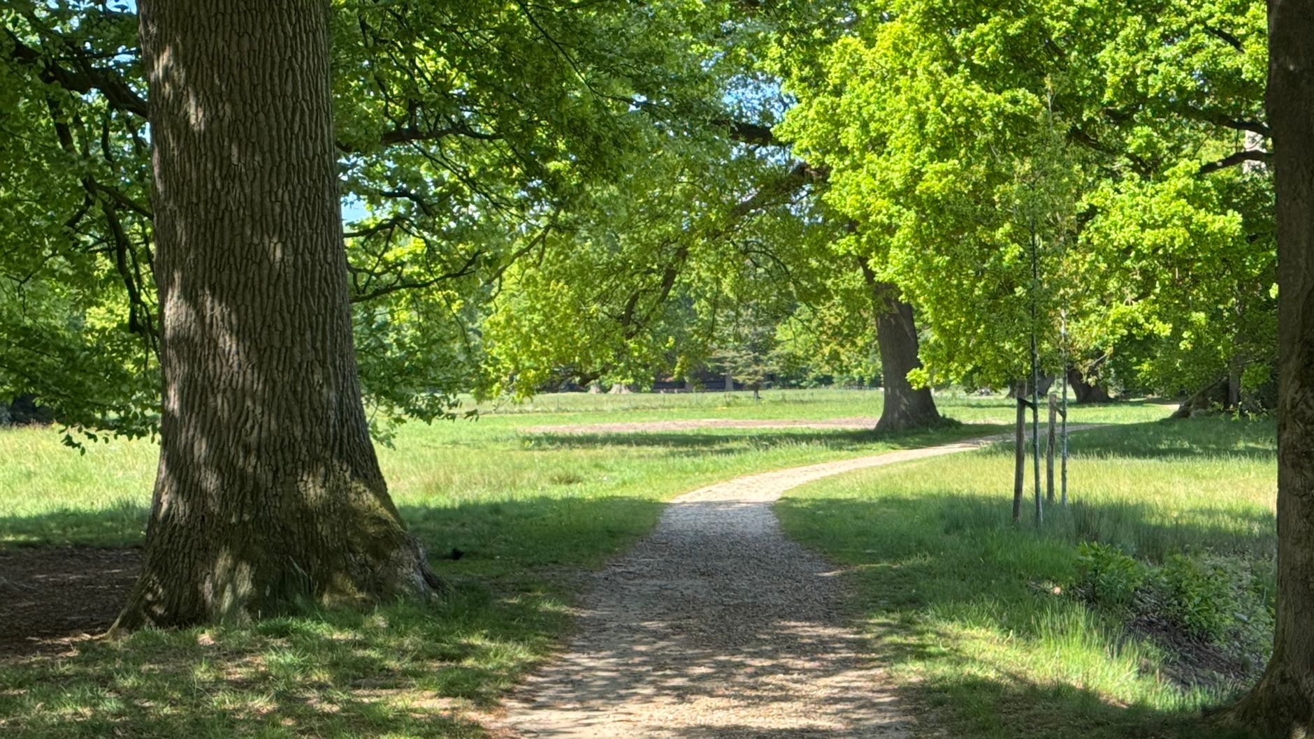 Lutte contre les nuisibles à Poitiers